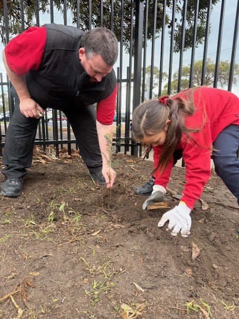 /uploaded_files/media/gallery/1753929004Planting.jpg